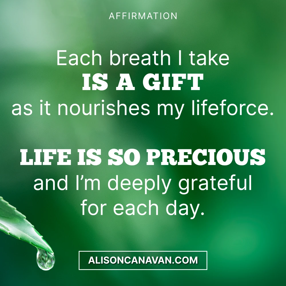 Each breath I take IS A GIFT as it nourishes my lifeforce. LIFE IS SO PRECIOUS and I'm deeply grateful for each day.